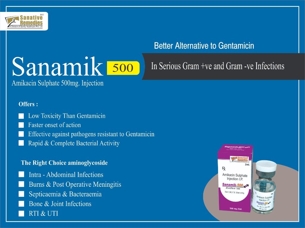 SANAmik-500 Visual